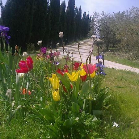 Residence Ai Campi Da Golf סטורניה מראה חיצוני תמונה