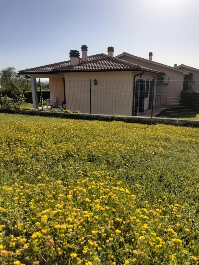Residence Ai Campi Da Golf סטורניה מראה חיצוני תמונה