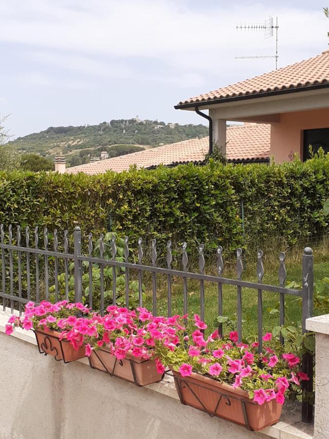 Residence Ai Campi Da Golf סטורניה מראה חיצוני תמונה