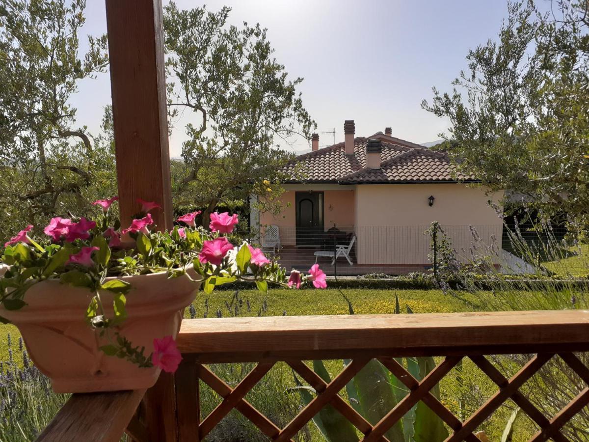 Residence Ai Campi Da Golf סטורניה מראה חיצוני תמונה