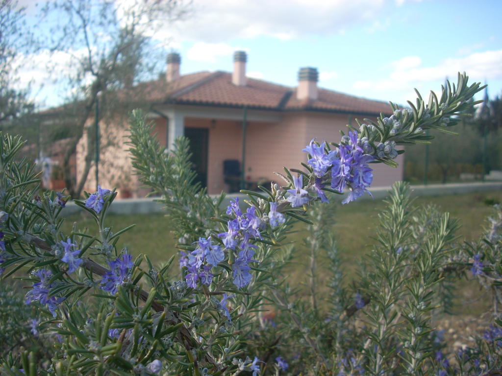 Residence Ai Campi Da Golf סטורניה חדר תמונה