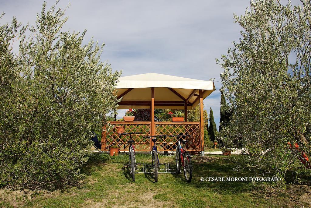 Residence Ai Campi Da Golf סטורניה חדר תמונה