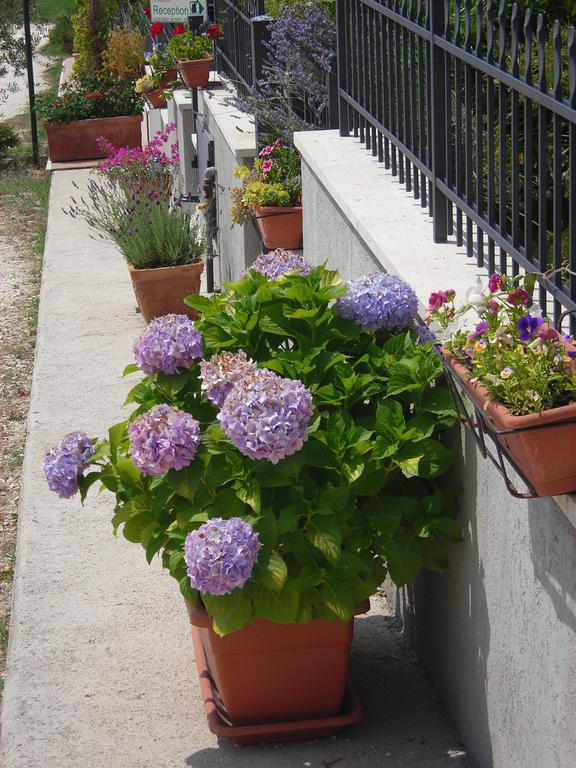 Residence Ai Campi Da Golf סטורניה חדר תמונה