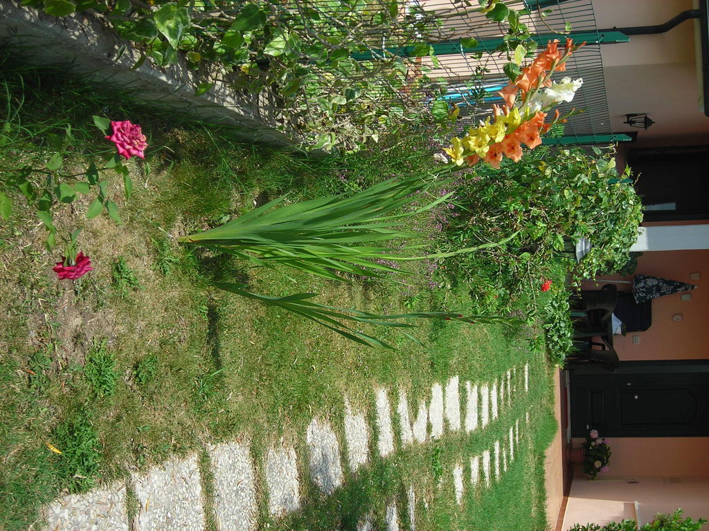 Residence Ai Campi Da Golf סטורניה מראה חיצוני תמונה