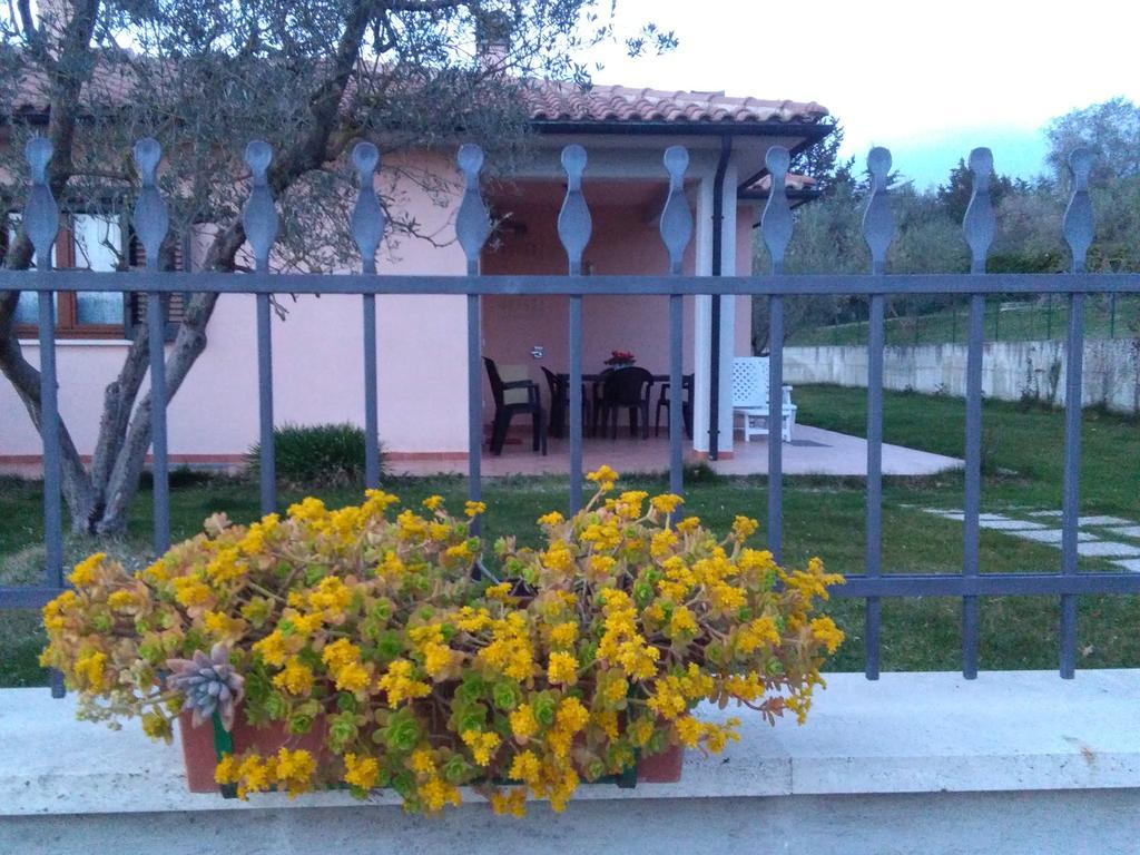 Residence Ai Campi Da Golf סטורניה מראה חיצוני תמונה