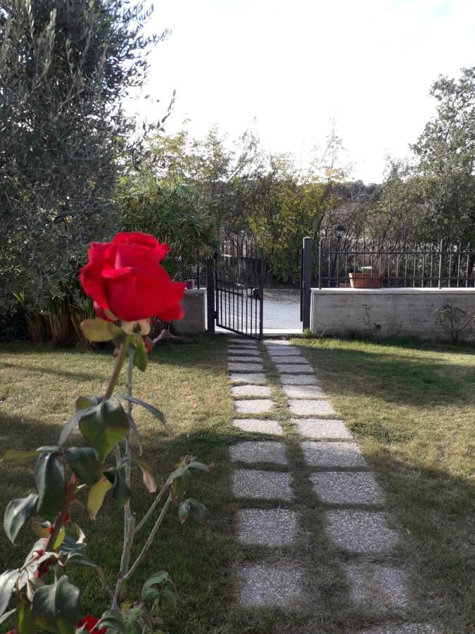 Residence Ai Campi Da Golf סטורניה מראה חיצוני תמונה